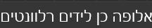 לידים רלוונטים